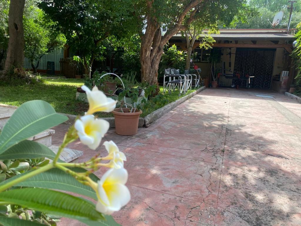 La Casetta Del Melograno Ferienhaus