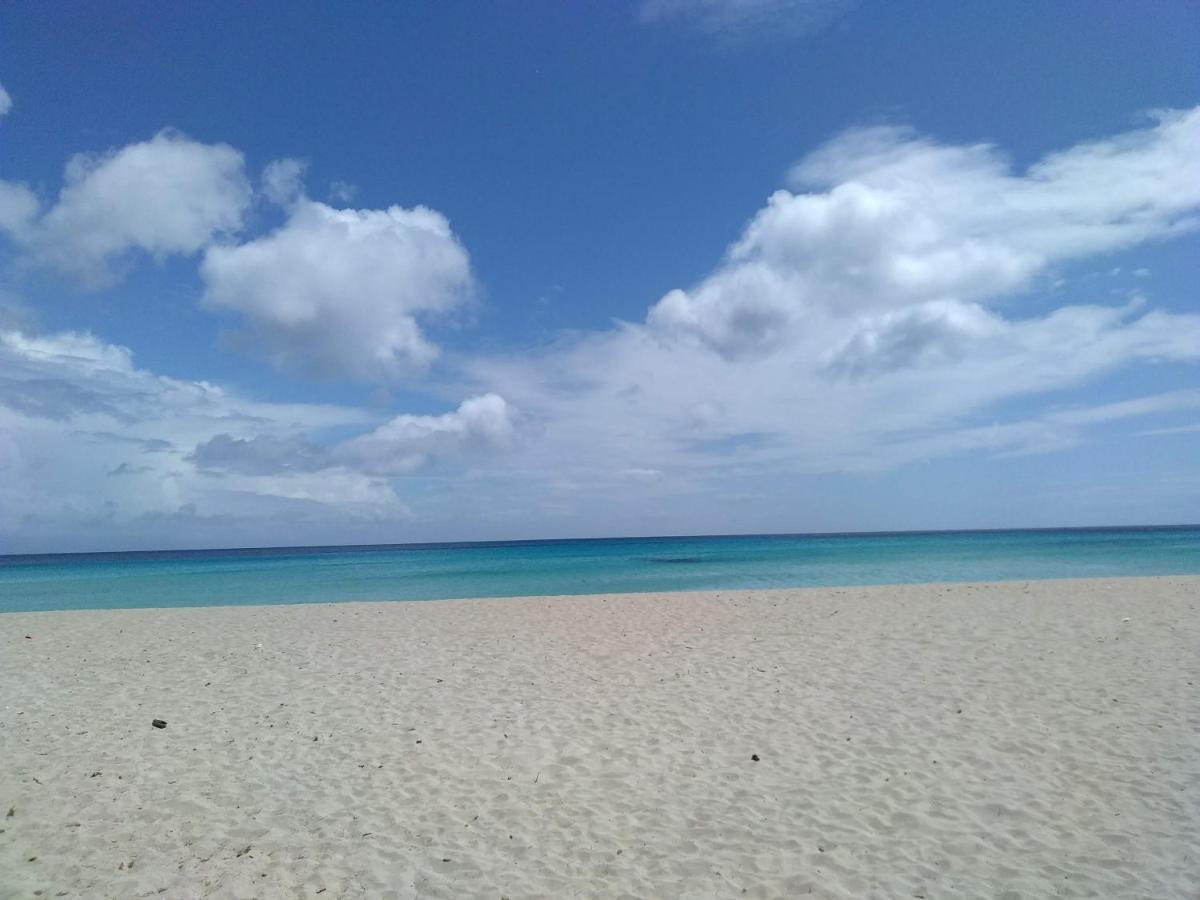 Hébergement de vacances La Casetta Del Melograno